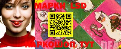 стаф Бузулук