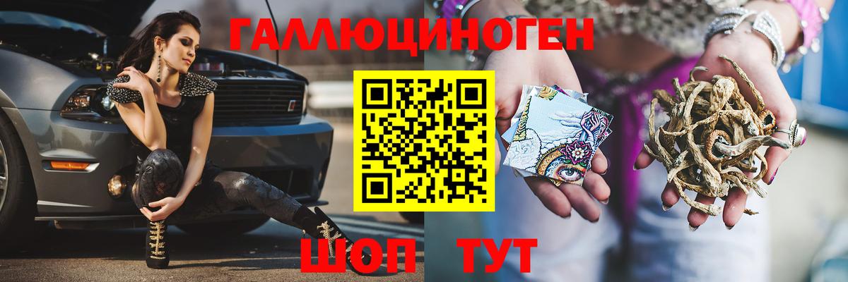 Псилоцибиновые грибы GOLDEN TEACHER Североморск